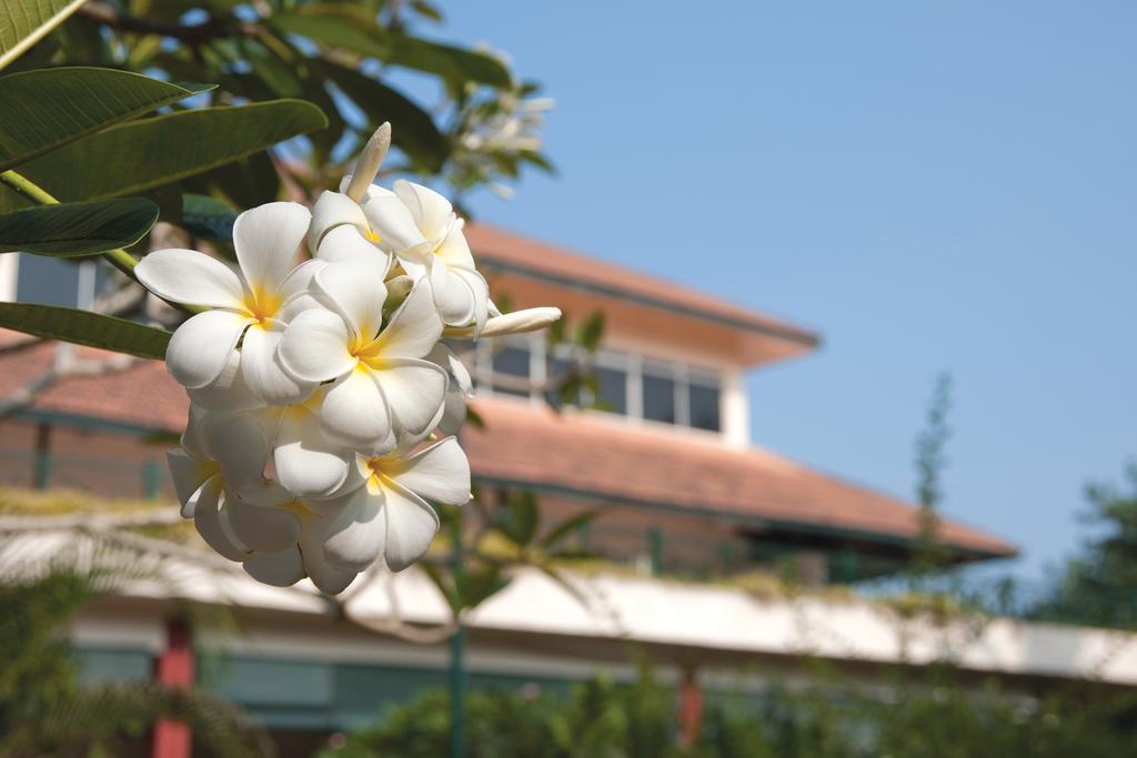 Hotel The Qamar Paka, Terengganu Exterior foto