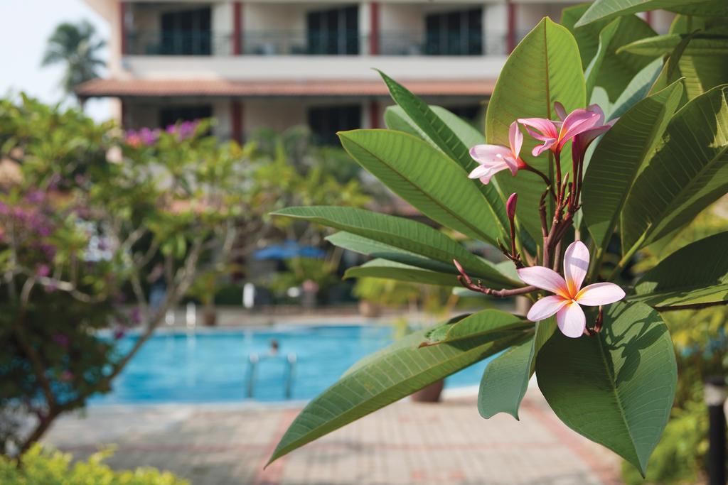 Hotel The Qamar Paka, Terengganu Exterior foto