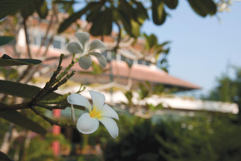 Hotel The Qamar Paka, Terengganu Exterior foto